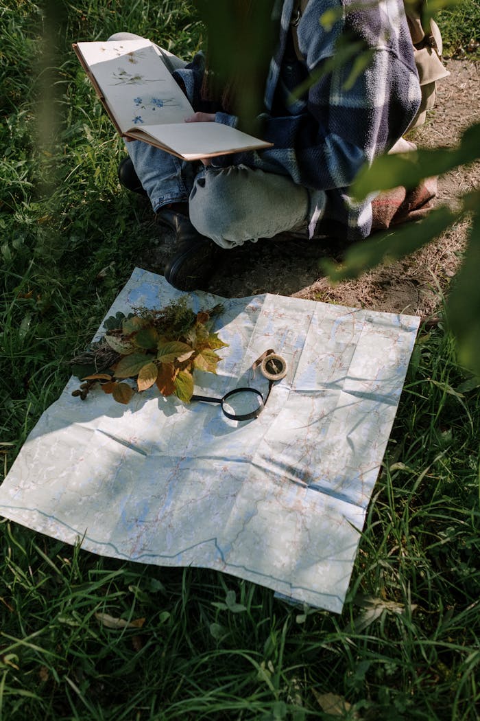 Nature enthusiast reading sketches near a map, surrounded by plants and magnifying glass.